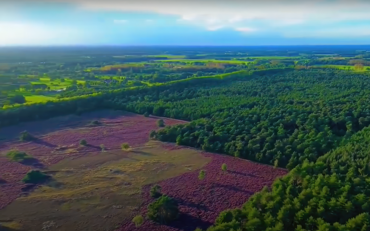 Leuke drone-video van de Heuvelse Heide