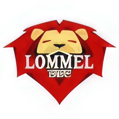 Verlies voor basket Lommel A