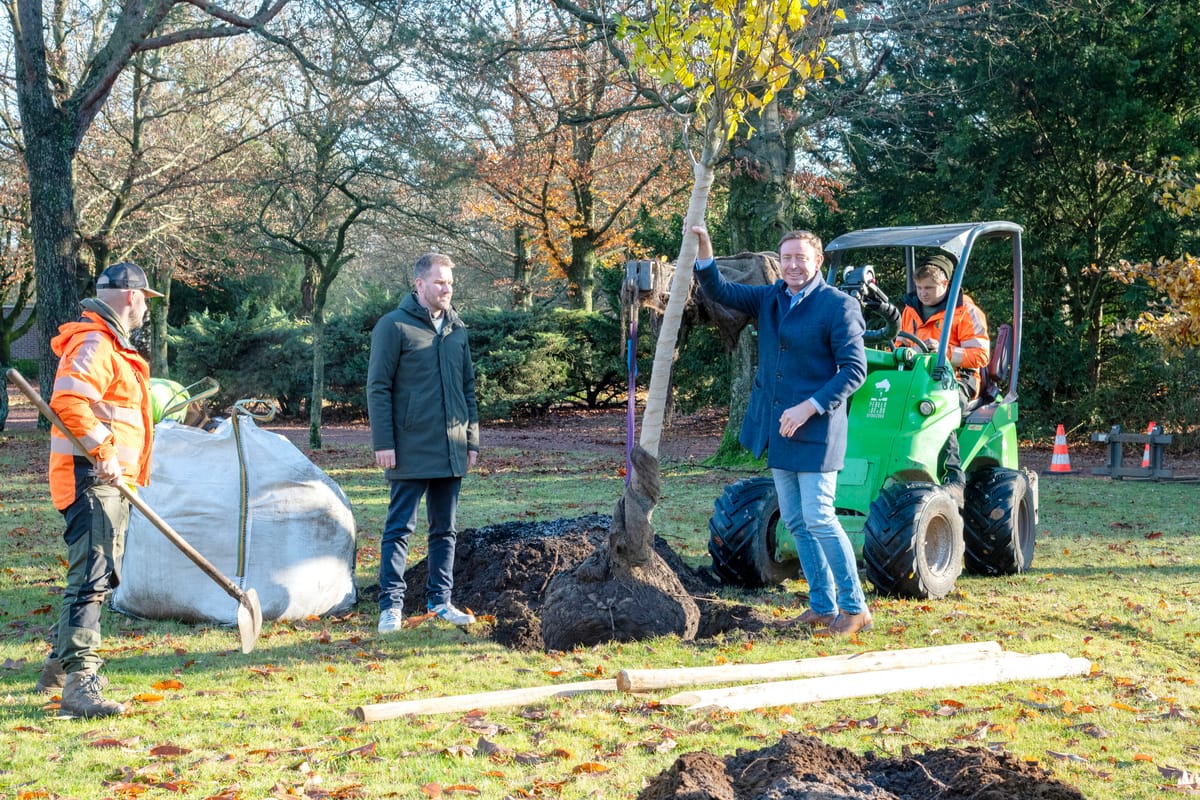 Meer dan 100 nieuwe bomen geplant