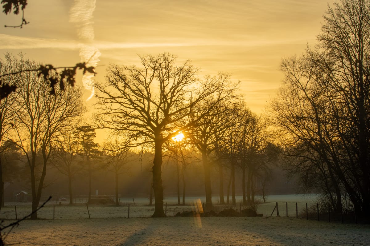 Mooi natuurreeksje