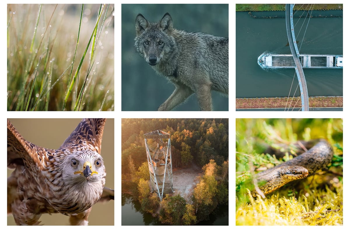 Bosland nu ook officieel erkend als Nationaal Park