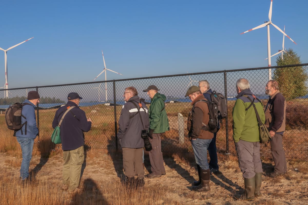 Wandeling 'Natuurpunt' op Balimheide