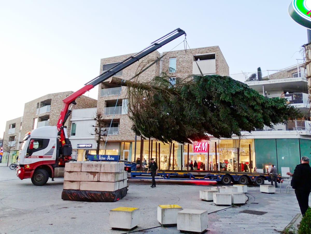 Plaatsing kerstboom op Veemarkt