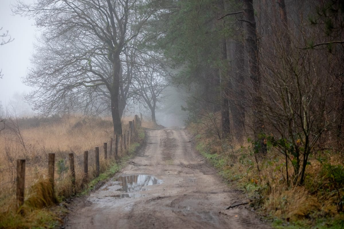 Natuur tussen kerst en nieuwjaar