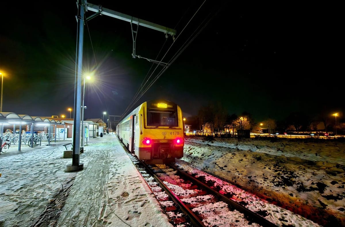 Natuur bij aanvang van dit nieuwe jaar