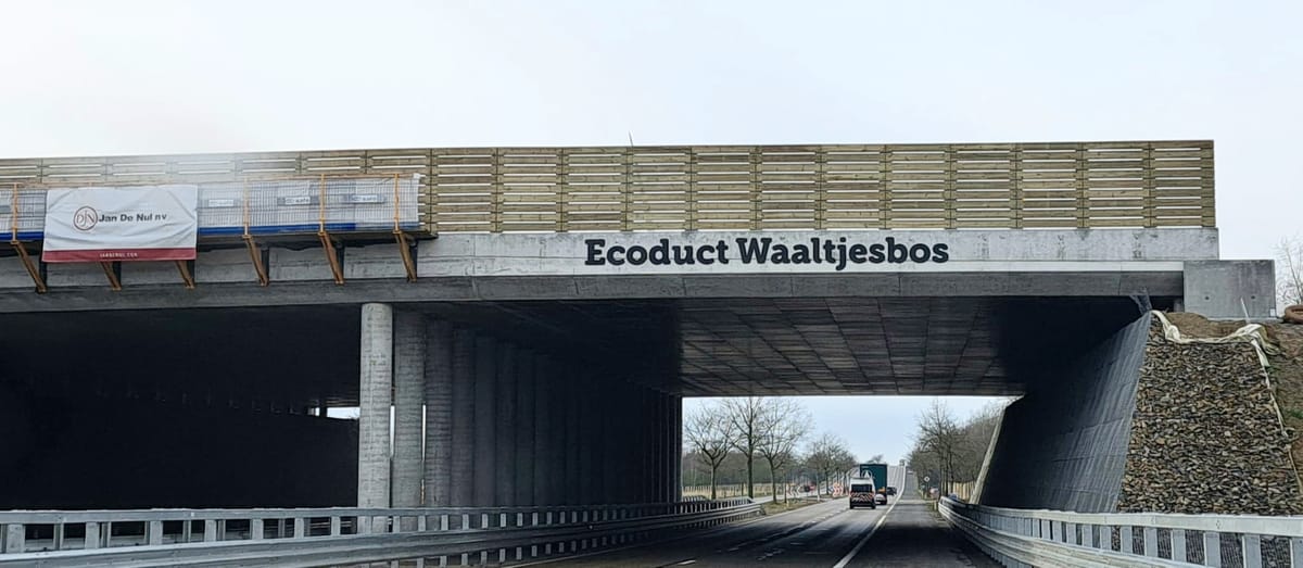 Werken aan Ecoduct zogoed als klaar