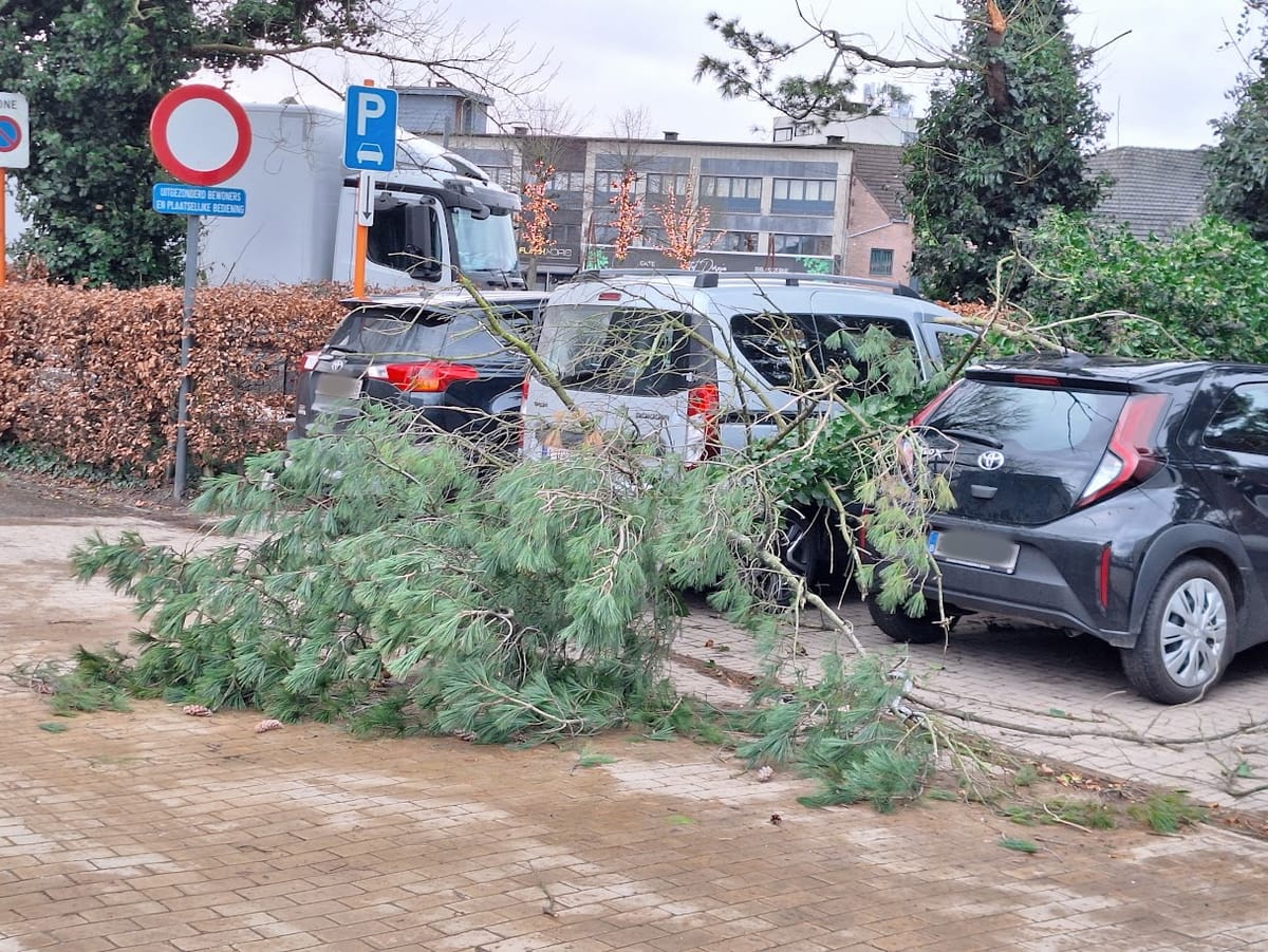 Storm Floriane raast ook over onze stad