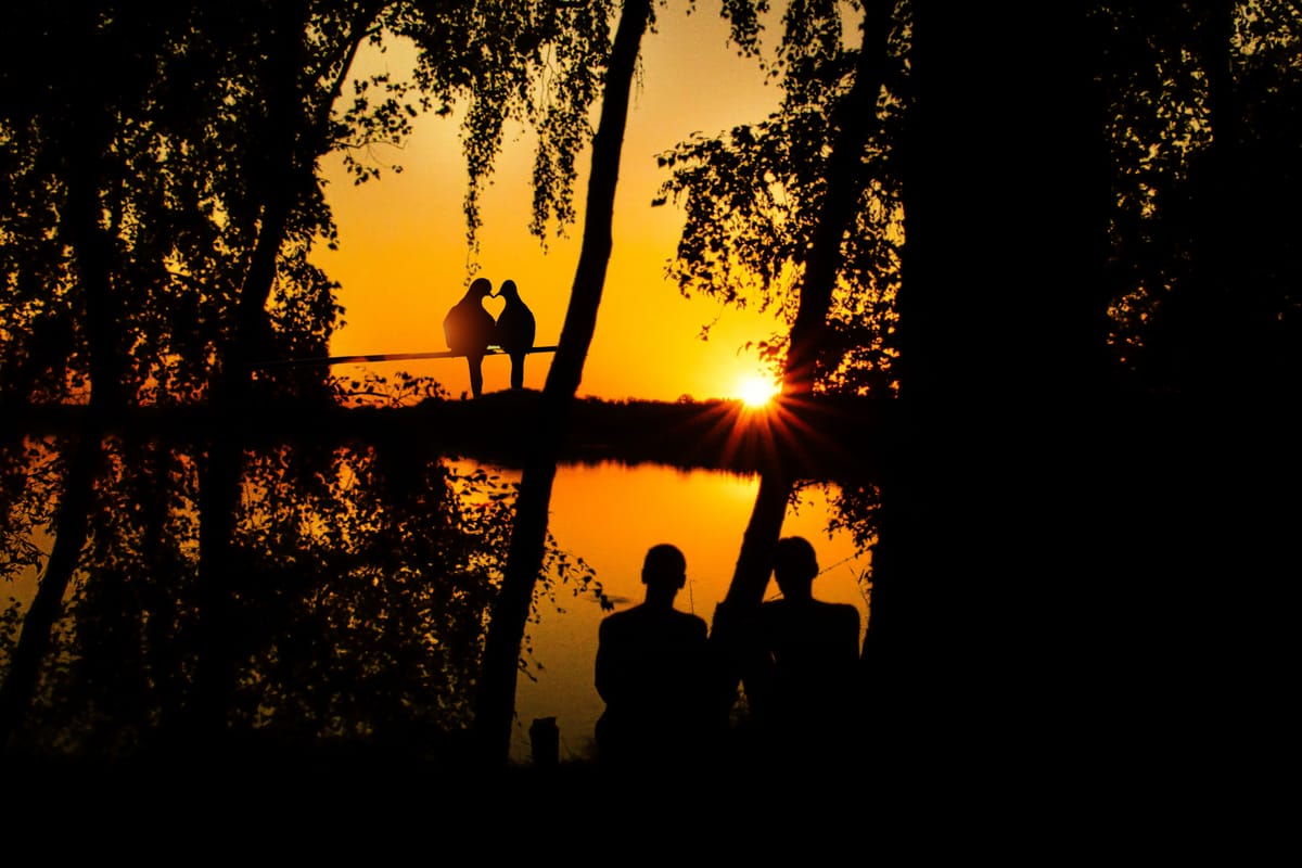 Een bijzonder mooie Valentijns-natuurfoto