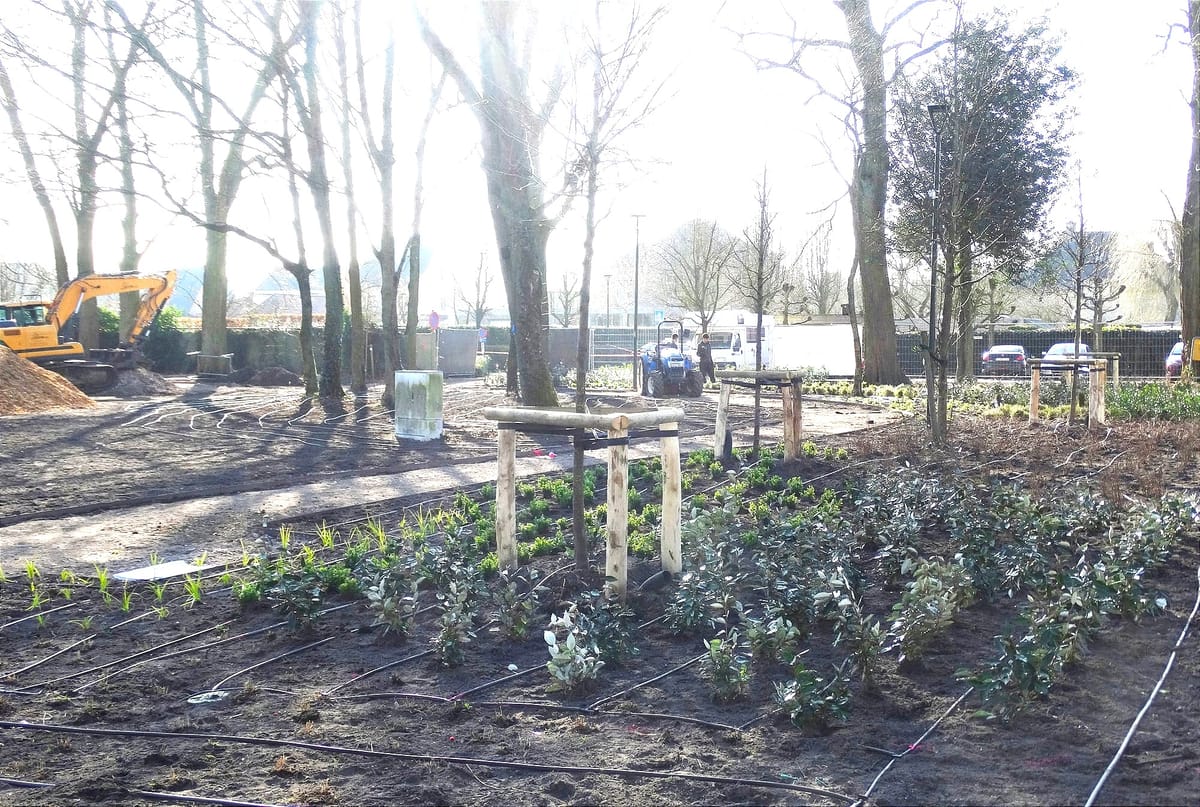 Ondertussen in het Burgemeesterspark