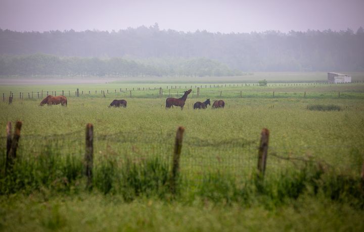 De mooie Vriesputten