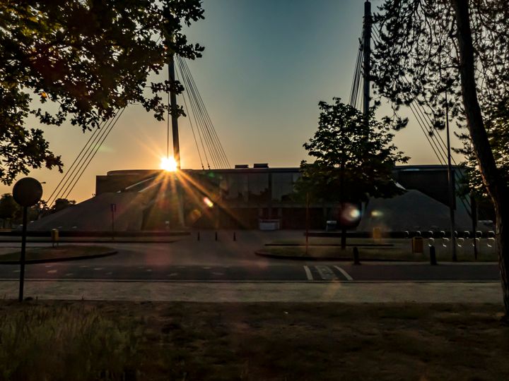 Zomerse natuurfoto's