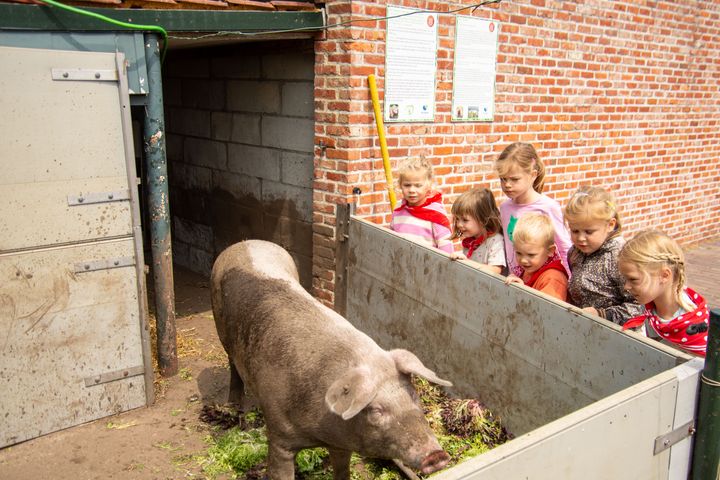 Vakantiekamp 'Blij op de Boerderij!'