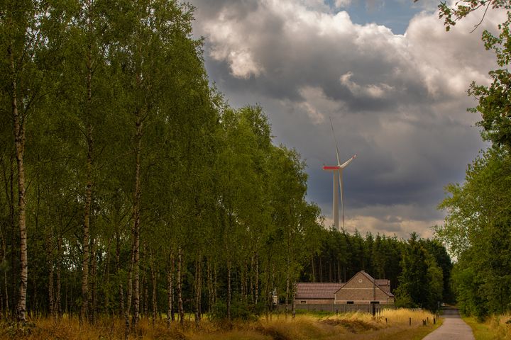 Nieuwe lading zomerse natuurfoto's