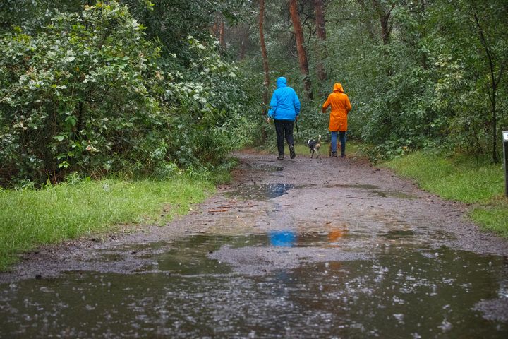 Onze natuur... op 8 augustus