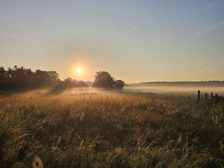 Natuur op dinsdag