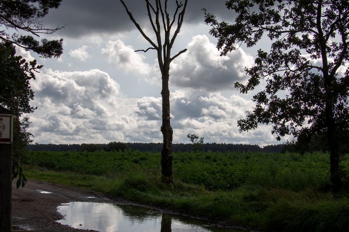 Natuur op woensdag