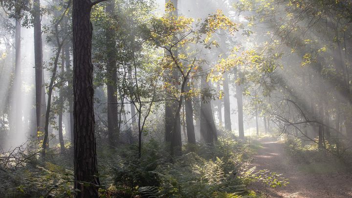 Natuur op woensdag