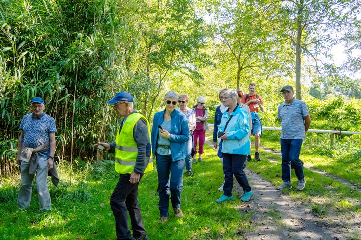 Een grasgroene natuurwandeling