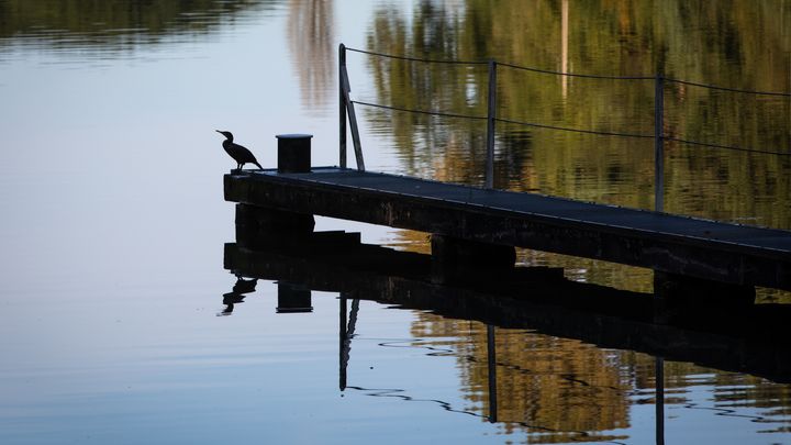 Natuur op woensdag