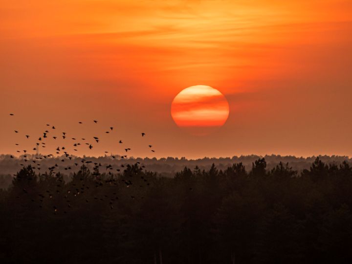 Natuur op vrijdag