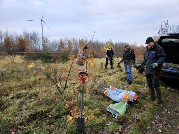 Beheerswerken op Balimheide