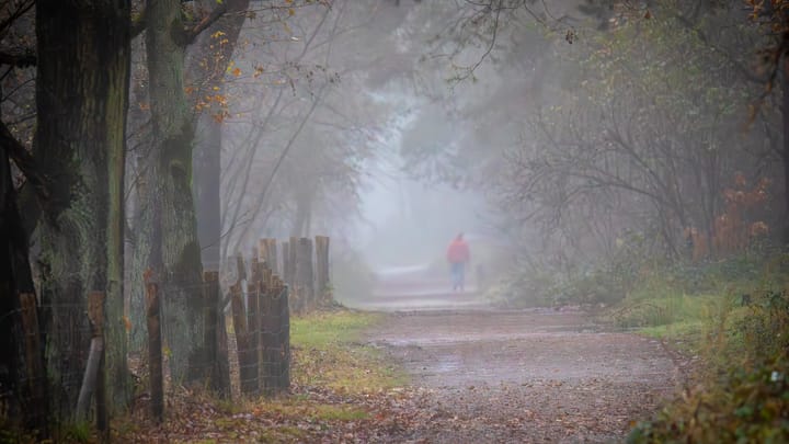 Natuur op woensdag: vooral veel mist