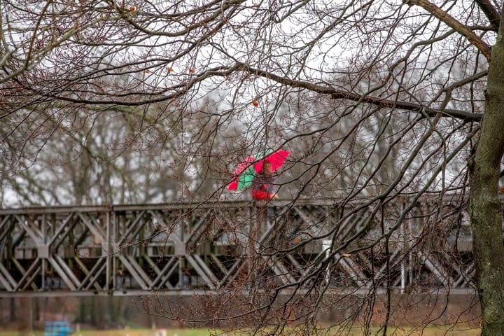 (Natte) Natuur op vrijdag