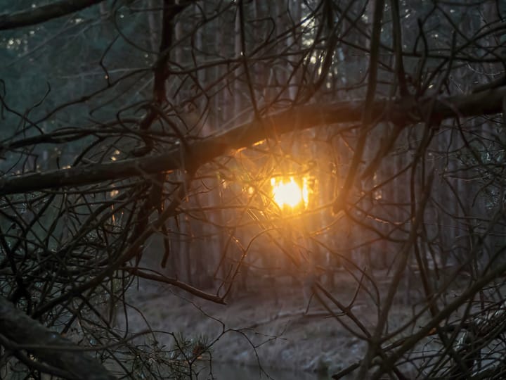 Natuur op woensdag