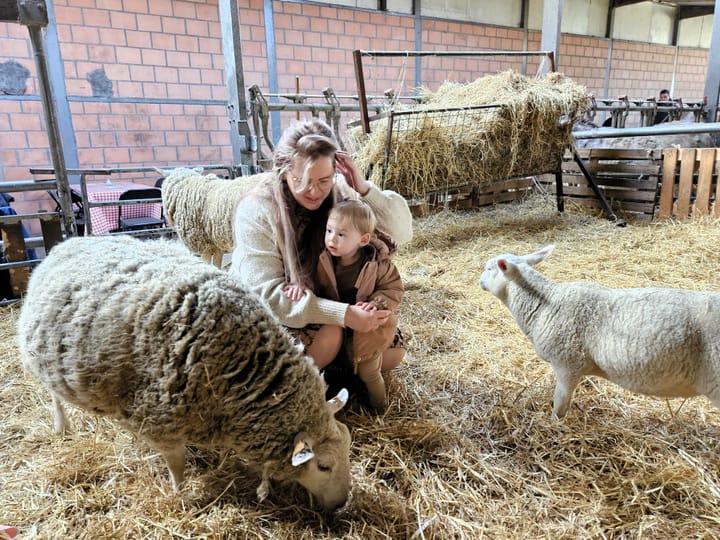 Boerderijbelevingsdagen bij Het Groeiveld