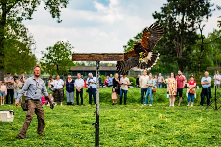 Nu zondag Molenfeesten