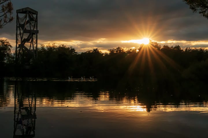 Prachtige zonsondergang aan de 'Reus' van Bosland