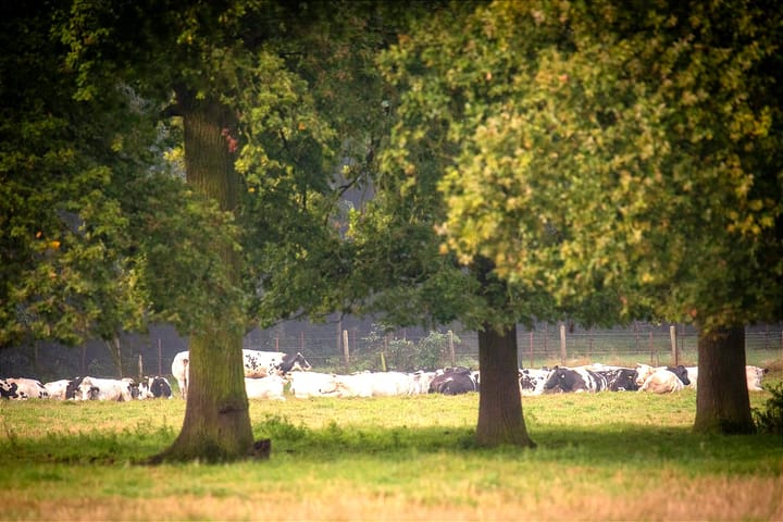 Onze prachtige natuur