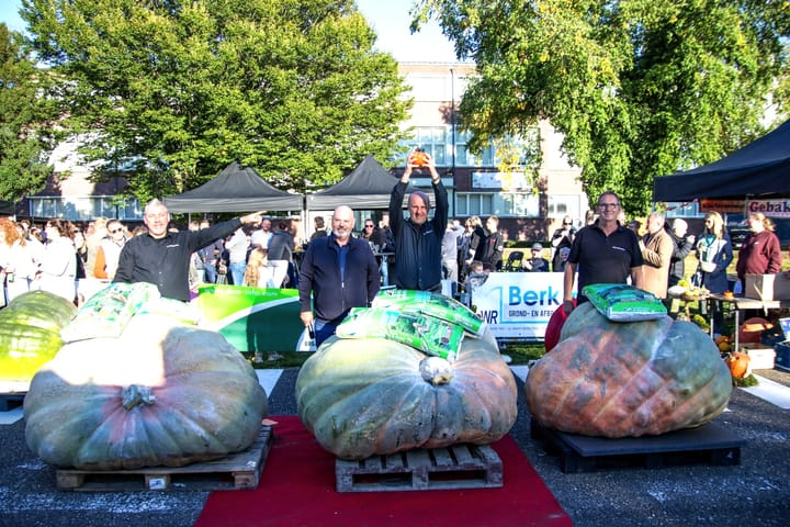 Zwaarste pompoen weegt 622 kilo!