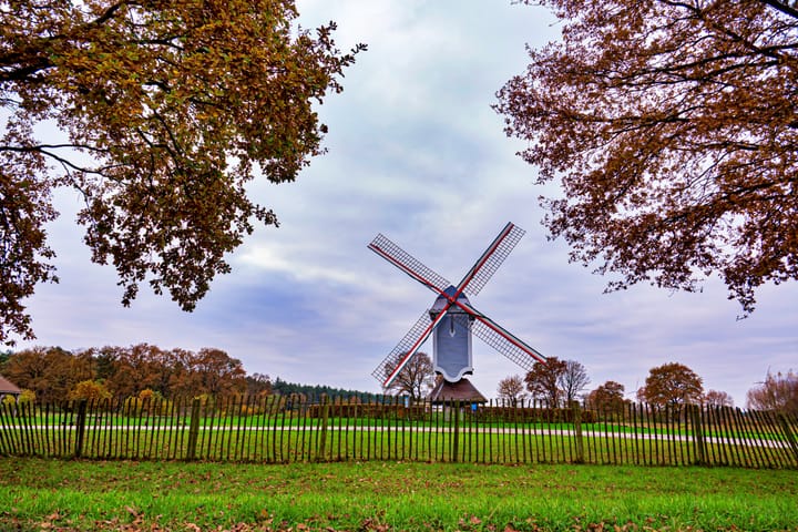 Herfstkleuren spotten tijdens fietstocht langs de mooiste plekjes