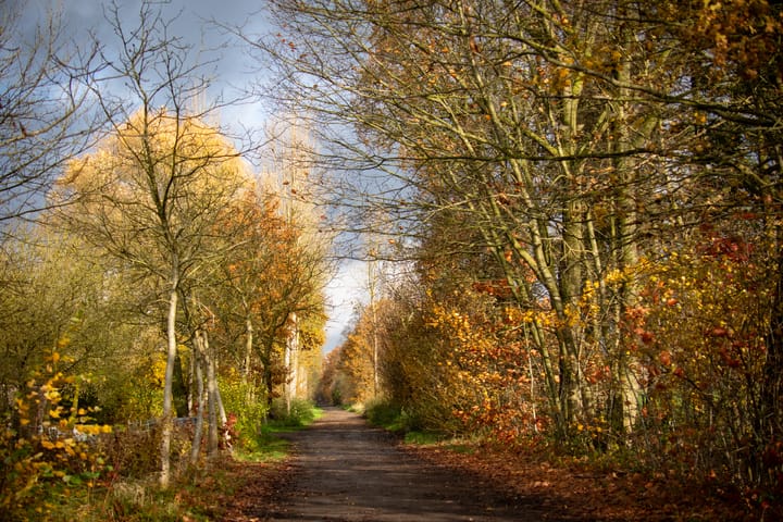 Herfst in de Kolonie