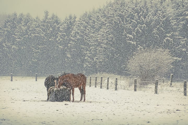 Let it snow, let it snow