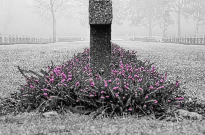 Mist over het kerkhof