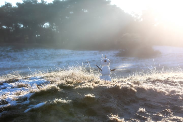 De Sahara: ook in de winter de moeite