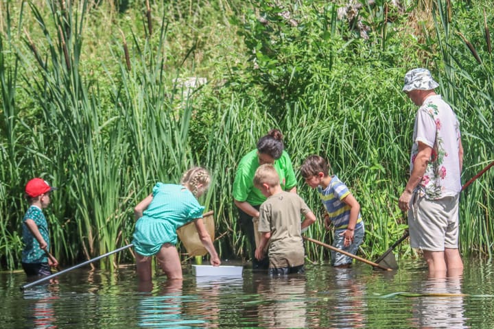 Bewondering en verwondering voor waterdiertjes in de Kolonie